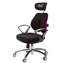 GXG 雙軸枕 雙背工學椅(鋁腳/D字扶手) TW─2606 LUA4