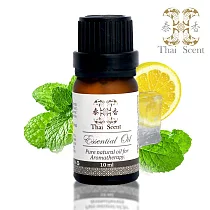 ThaiScent泰香 智慧型車載居家兩用香氛機+純精油10ml(任選) 清新Mojito