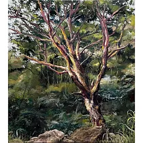 【玲廊滿藝】洪俊銘─溪邊大樹45.5x53cm