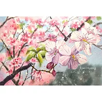 【玲廊滿藝】黃子芸Kiwi─櫻花擁簇18x26cm