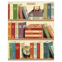 美國 Cavallini & Co. 1000片拼圖 圖書館