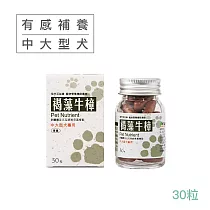 【現代百益康】褐藻牛樟膠囊─30顆(中大型犬用、寵物保健食品)