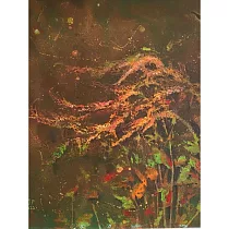 【玲廊滿藝】林錦屏─飄蕩73x60cm