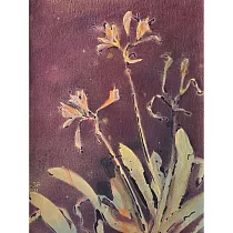 【玲廊滿藝】林錦屏─秋花73x53cm