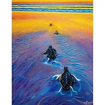 【玲廊滿藝】吳星禾─海龜一生116.5x91cm