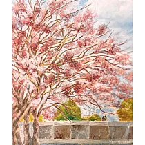 【玲廊滿藝】朱薇諺─花綻春日45.5x38cm