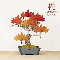 Dreams BONSAI PUZZLE 立體拼圖 楓