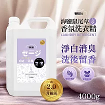 野田社─海鹽鼠尾草香氛洗衣精4000ml*4瓶