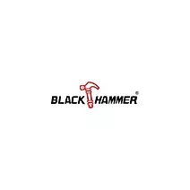 BLACK HAMMER