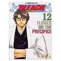 BLEACH 死神 12