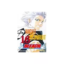 BLEACH 死神 16