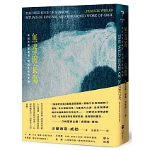 無邊的哀傷：走出失落與痛苦，找回生命的完整