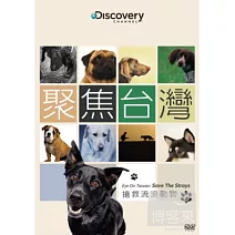 聚焦台灣：搶救流浪動物 DVD