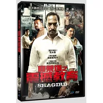 寶萊塢之震撼教育 DVD