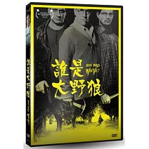 誰是大野狼 DVD