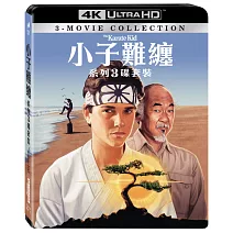 小子難纏系列UHD三碟套裝