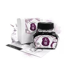 【IWI】色澤鋼筆墨水-二十四節氣系列-冬季6色-大寒（深紫）