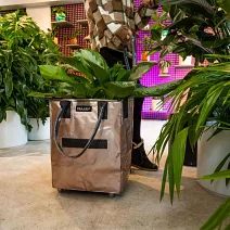 【HULKEN】浩肯包2.0 大型購物車 環保購物袋 折疊推車 (中) 玫瑰金