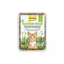 竣寶 新鮮貓草盒裝 DIY 100g/盒 田園草甸味大麥貓草