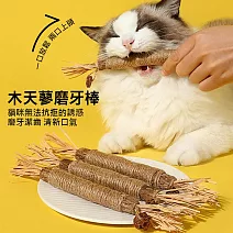 【美好家 Mehome】木天蓼磨牙棒 逗貓棒 拉菲草款 2入