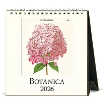 【Cavallini】2026 桌曆/月曆