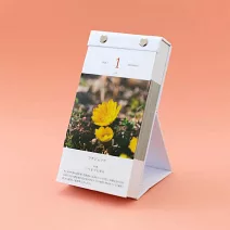 【日本SHINNIPPON CALENDAR】2026 曆生活日曆