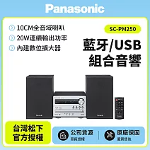 【Panasonic國際】藍牙/USB組合音響 SC-PM250