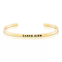 MANTRABAND 美國悄悄話手環 Carpe Diem 把握當下 金色