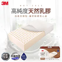 3M 天然乳膠防蹣枕-加高支撐型