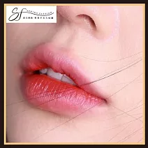 台北【春天時尚】霧唇【不指定老師】NT11,500乙堂優惠券無補色