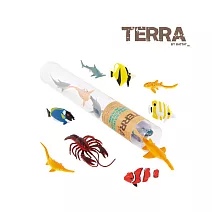 【TERRA】拿手罐  熱帶海洋