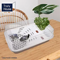 【Truly House】大空間生態烏龜飼養盒 養烏龜 烏龜缸(兩色任選) 棕色