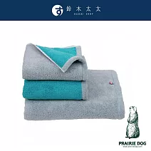 【Prairie Dog】DAIRY PRAIRIE 今治純棉翻轉色彩雙股紗大浴巾 (湖綠灰) | 鈴木太太公司貨