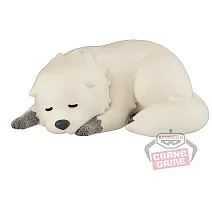 BANPRESTO Fluffy Puffy SPY×FAMILY間諜家家酒-彭德・佛傑 Ｂ趴姿