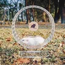 ｜勞叔跑不停跑輪｜倉鼠跑輪 26公分大跑輪 倉鼠靜音跑輪 透明靜音跑輪 可倒掛跑輪 倉鼠透明跑輪壓克力跑輪艾特卡布星跑輪 透明