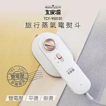 大家源 雙電壓旅行蒸氣掛燙機(附矽膠隔熱墊) TCY-950101