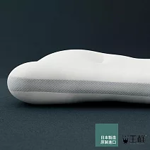 【日本王樣】王樣的極柔枕 (附天絲 TENCEL 枕套 ) | 鈴木太太公司貨