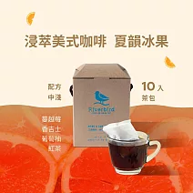【江鳥咖啡 RiverBird】浸萃美式咖啡 夏韻冰果 茶包咖啡(10入/盒)