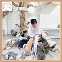 台南【財閥家的公子貓】擼貓咖啡廳A套餐體驗券