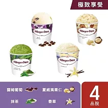 【Haagen-Dazs 哈根達斯】極致享受品脫4入組