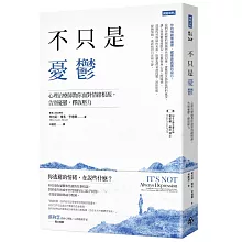 不只是憂鬱：心理治療師教你面對情緒根源，告別憂鬱，釋放壓力