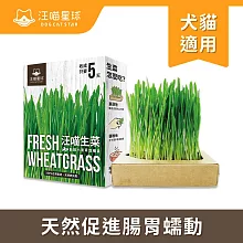 【汪喵星球】生菜栽培盒65g*3入