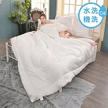 義大利La Belle《天然手工蠶絲可水洗冬被》--雙人