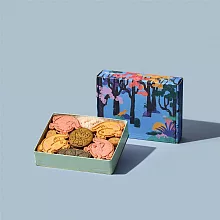 【菓實日】山椒魚造型鐵盒餅乾 salamander cookies 4盒組