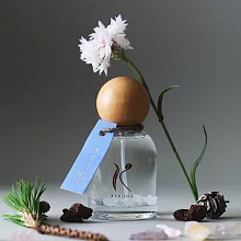 09｜FREEDOM 翩然 花精香氛噴霧-大（100ml）包裝隨機出貨