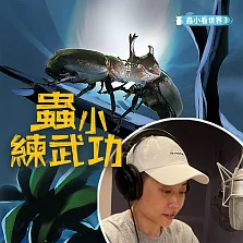 蟲小看世界3：蟲小練武功 (有聲書)