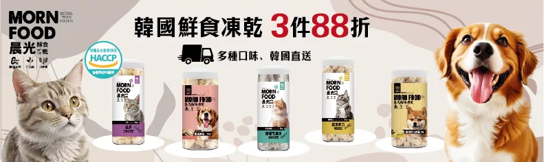 韓國晨光