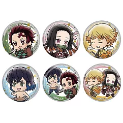 【日本正版授權】全套6款 鬼滅之刃 花鳥風月(極) 徽章 日本製 別針/胸章 334815