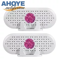 【AHOYE】可循環綠能除濕器 2入 (迷你除濕器 循環除濕器)