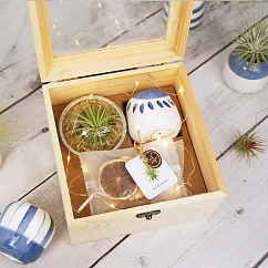 【午後小食光】空氣鳳梨水果水禮盒組
